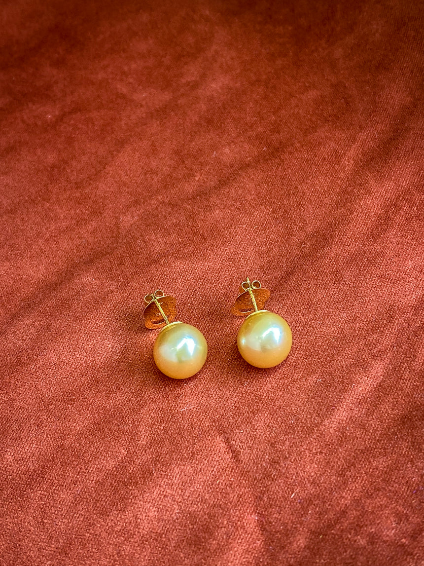 Gold South Sea Pearl 18K Gold Stud Earrings (Style 1)