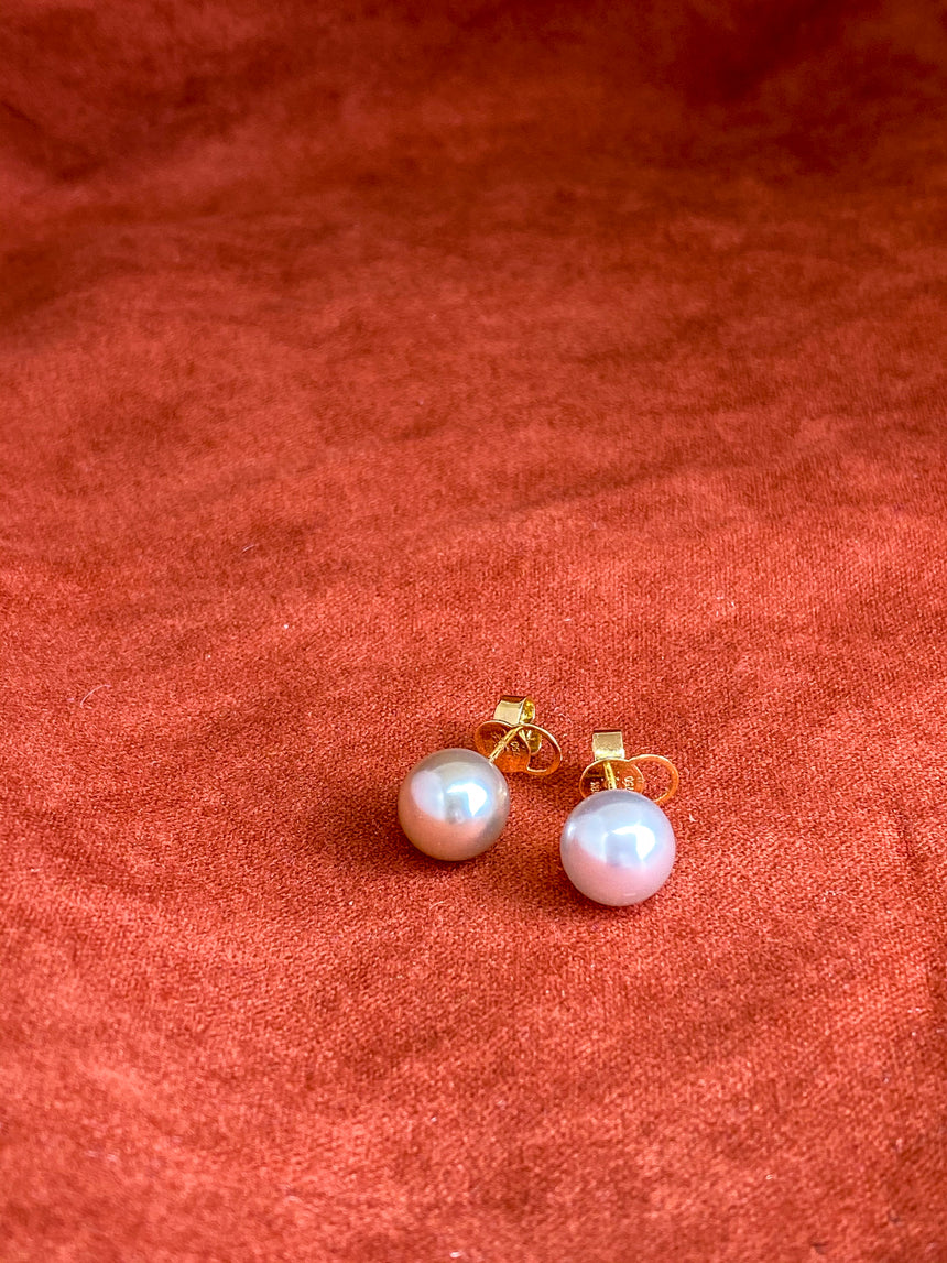 White South Sea Pearl 18K Gold Stud Earrings